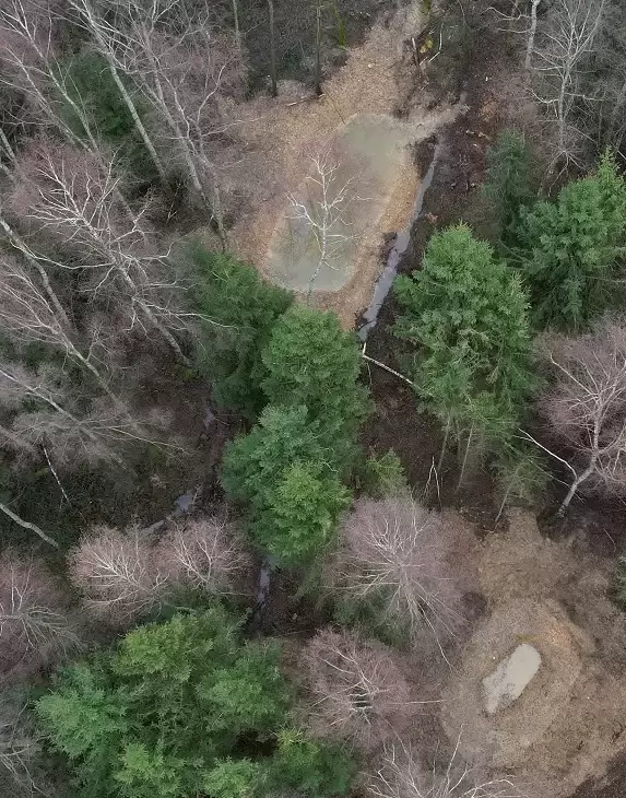 Luftaufnahme mehrerer Tümpel im Wald