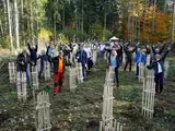 Pflanzaktion von Forstwirten und Mitarbeitenden der Stadtwerke Kaiserkautern im Wald