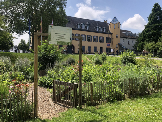 Grüner Garten mit Schloss im Hintergrund