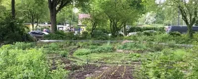 Urban garden