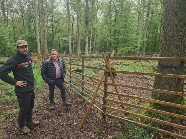 Zwei Menschen stehen an einem Holzgatter im Wald