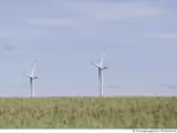 Windräder in Landschaft