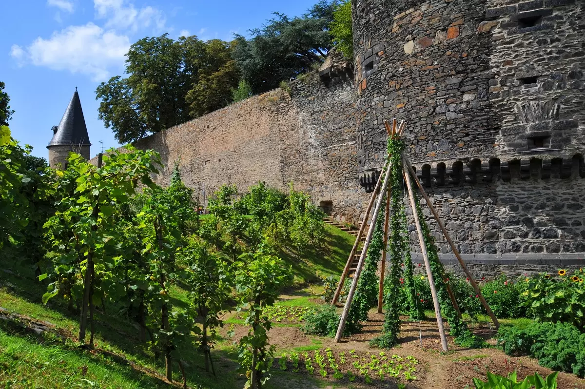 Obstbäume, Gemüse und ein Tipi an der Stadtmauer Andernach