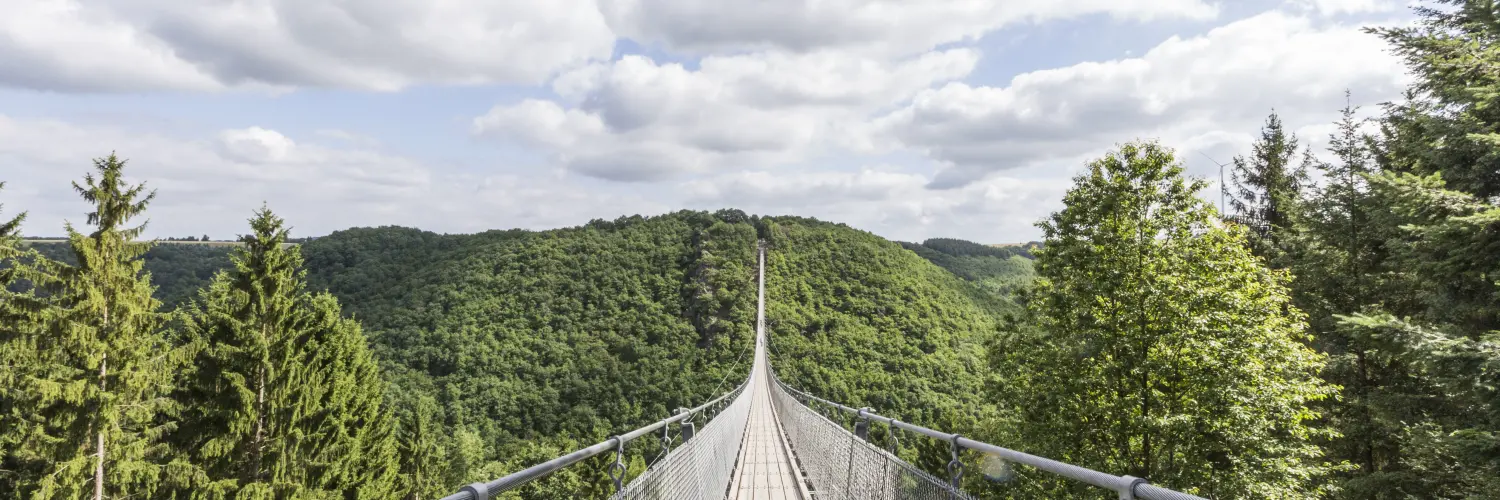 Blick auf Geierlay-Hängebrücke